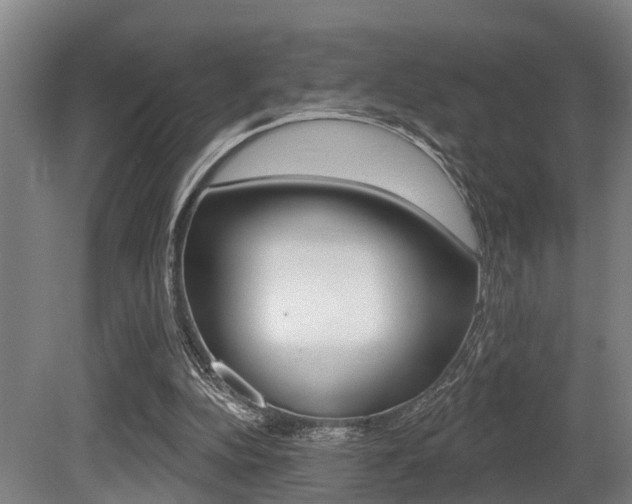 X0000081320152200701111038