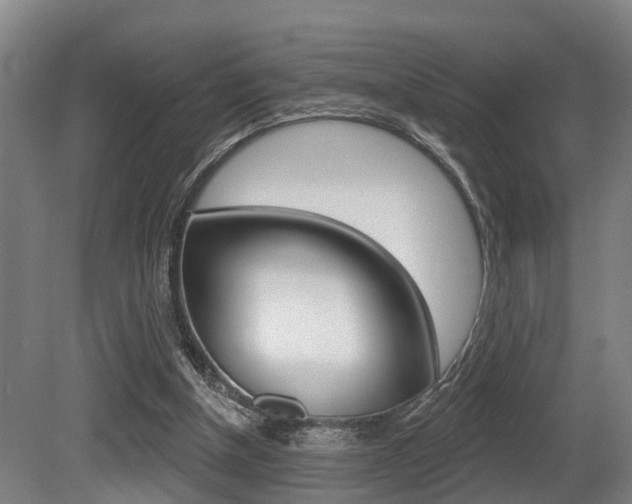 X0000081320154200701111038