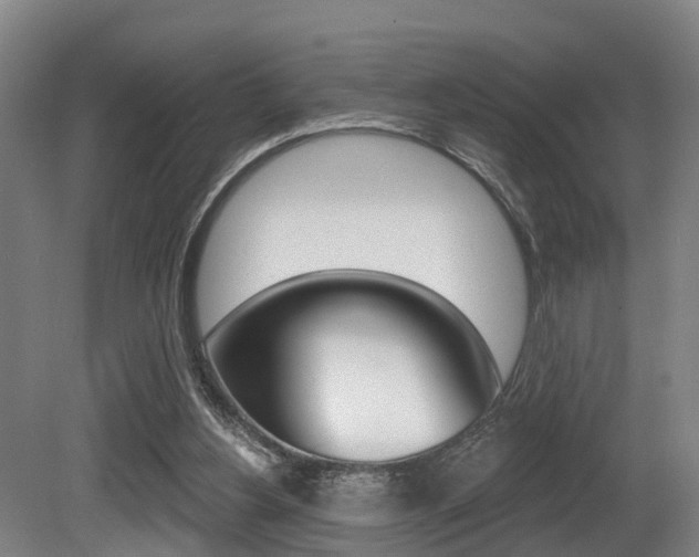 X0000081320156200701111038