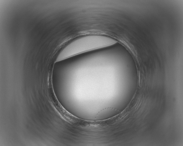X0000081320157200701111038