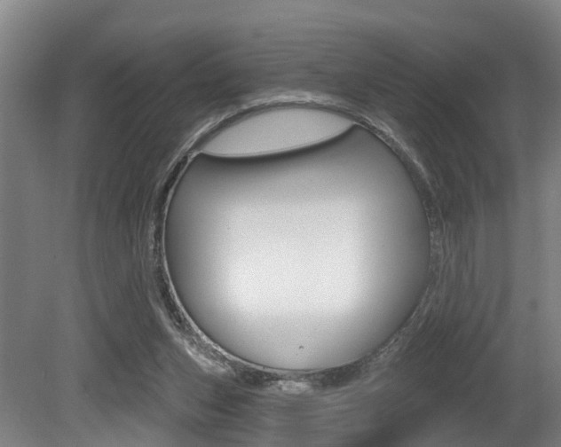 X0000081320159200701111038