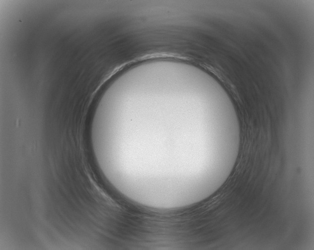 X0000081320160200701111038