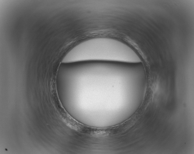 X0000081320161200701111038
