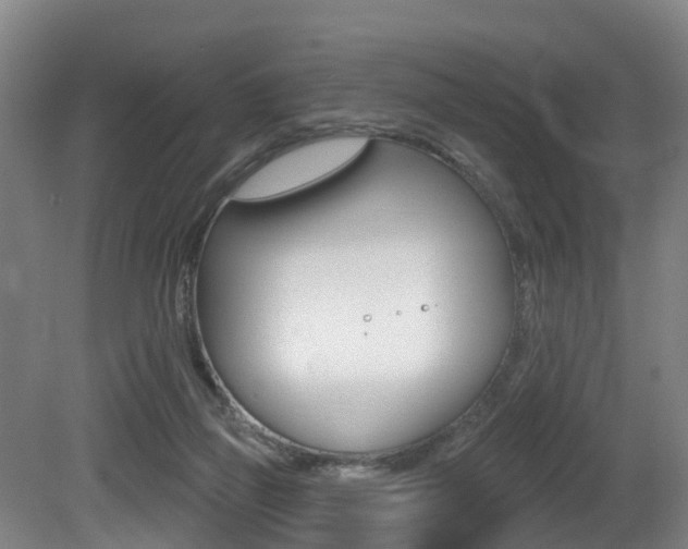 X0000081320165200701111038