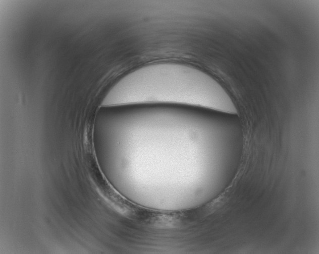X0000081320166200701111038
