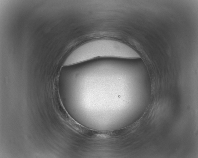 X0000081320167200701111038