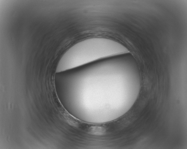 X0000081320169200701111038