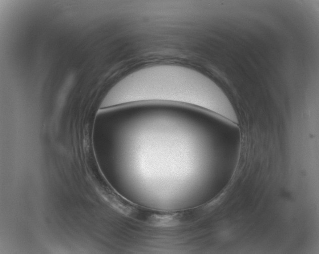 X0000081320170200701111038