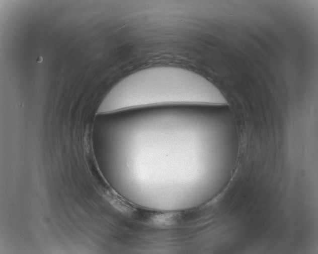 X0000081320178200701111038