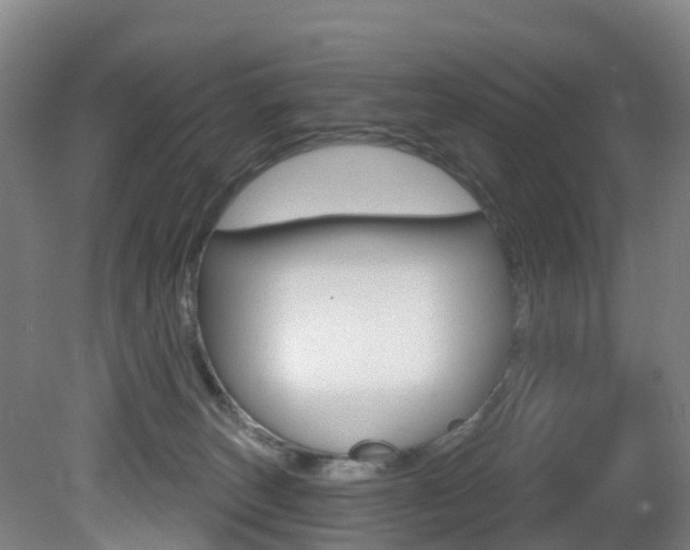 X0000081320179200701111038