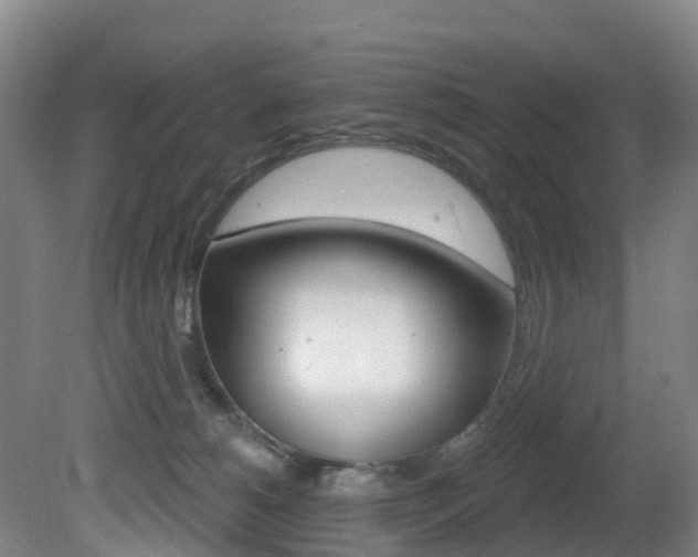 X0000081320180200701111038