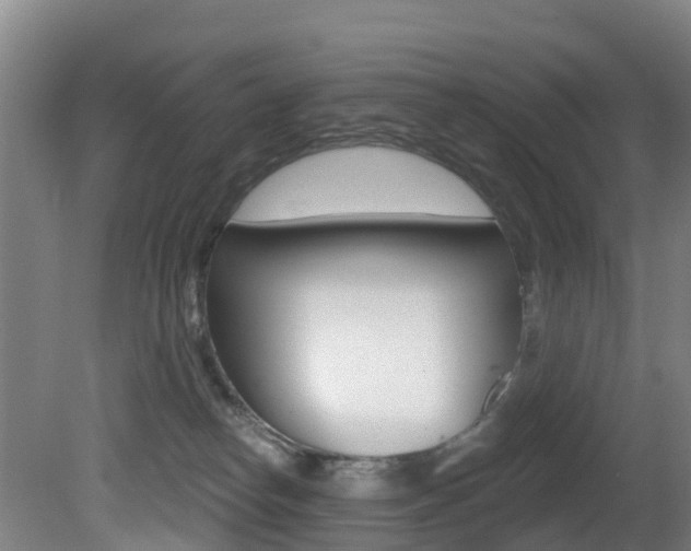 X0000081320182200701111038