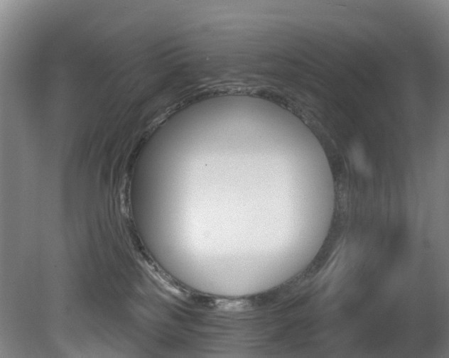 X0000081320185200701111038
