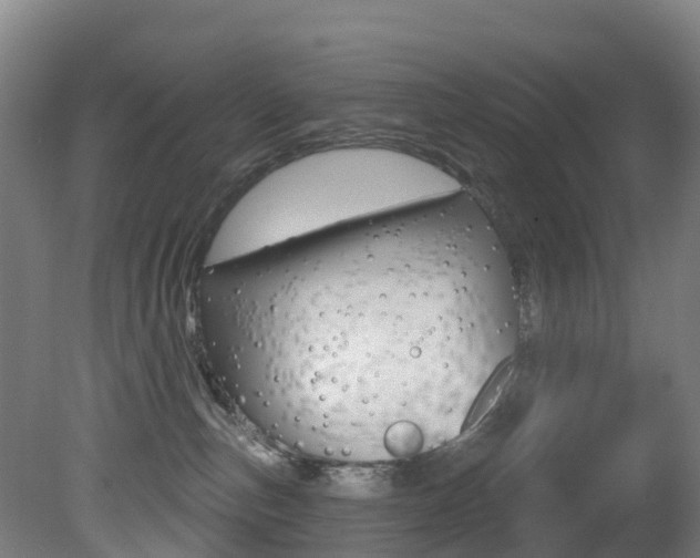 X0000081320187200701111038
