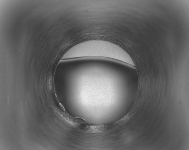 X0000081320188200701111038