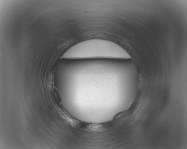 X0000081320189200701111038