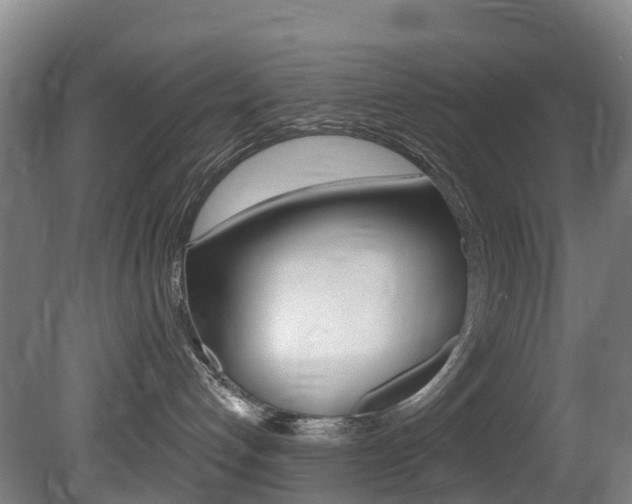 X0000081320192200701111038