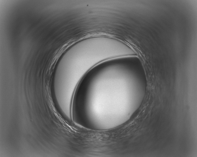 X0000081320193200701111037