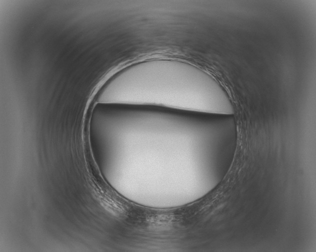 X0000081320196200701111037