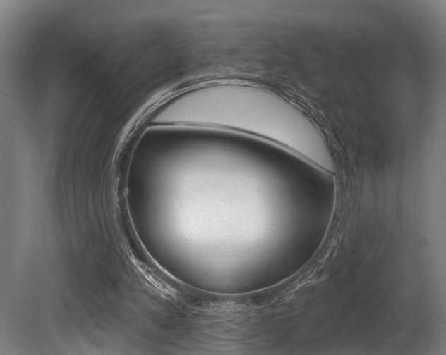 X0000081320197200701111037