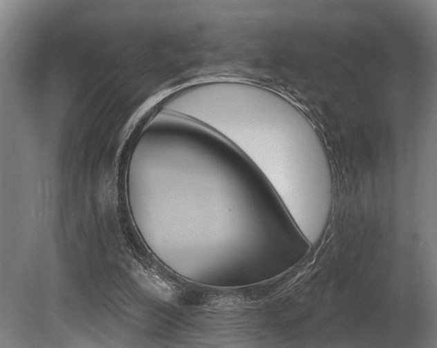 X0000081320200200701111037