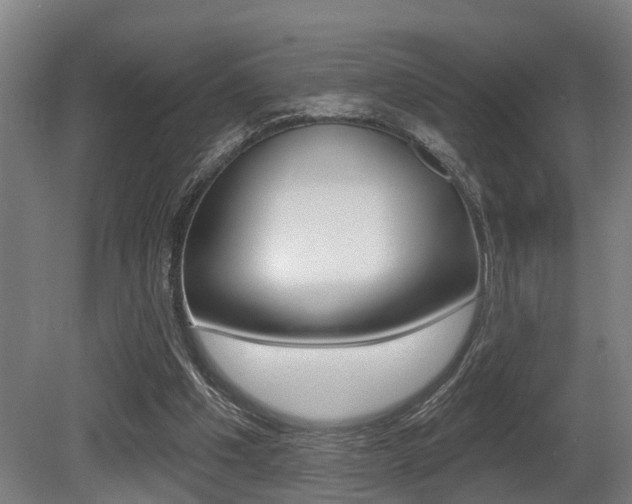X0000081320201200701111037