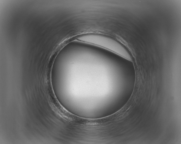 X0000081320203200701111037