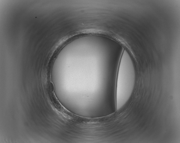 X0000081320204200701111037