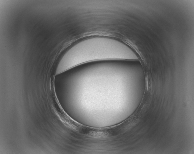 X0000081320205200701111037