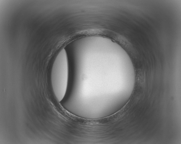 X0000081320206200701111037