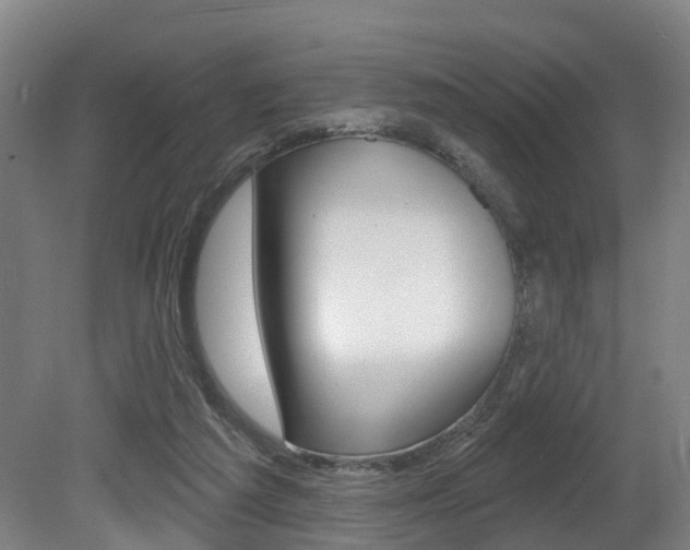 X0000081320209200701111037