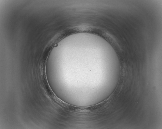 X0000081320210200701111037