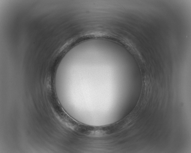 X0000081320212200701111037