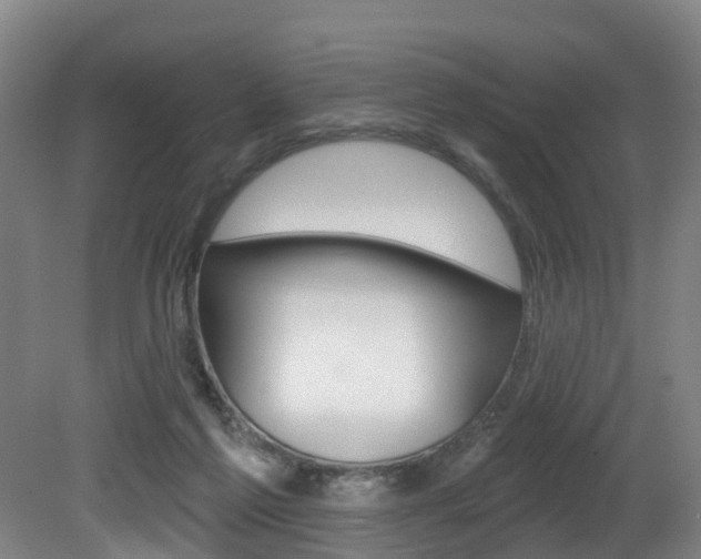 X0000081320213200701111037