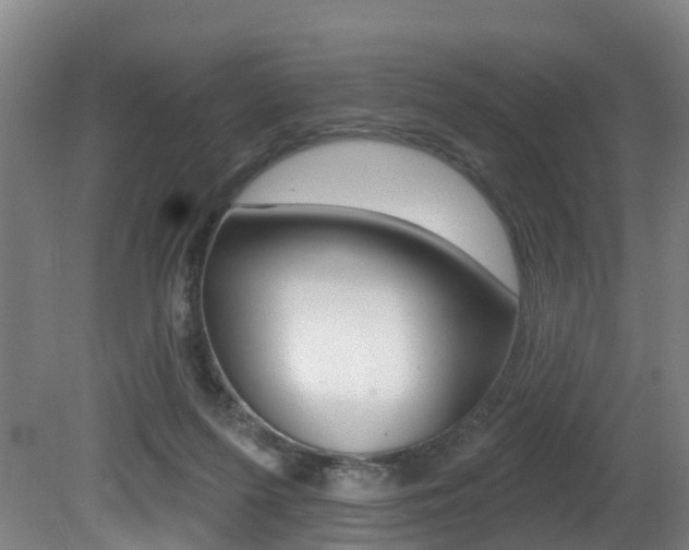 X0000081320215200701111037