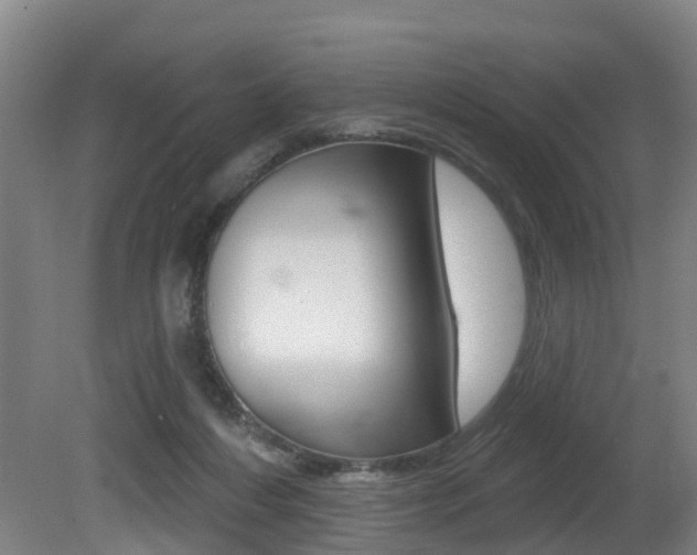X0000081320216200701111037