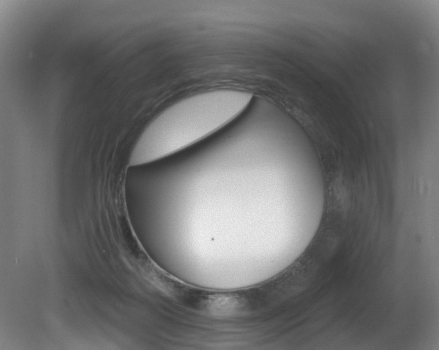 X0000081320218200701111037