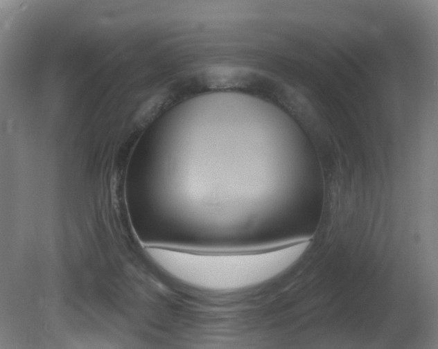 X0000081320219200701111037