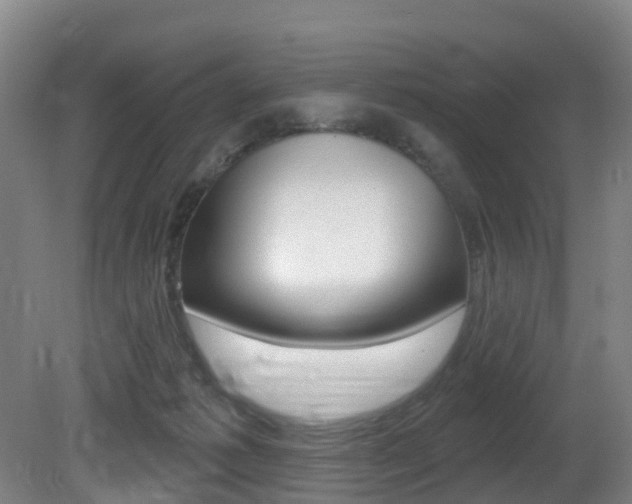 X0000081320221200701111037