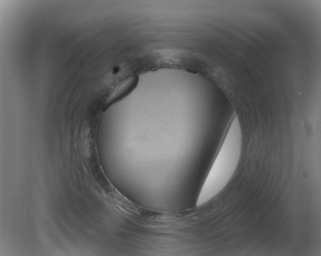 X0000081320223200701111037