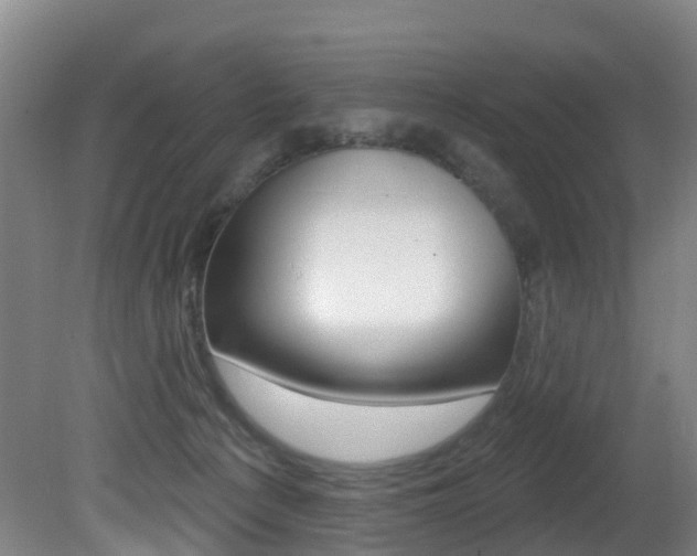 X0000081320225200701111037