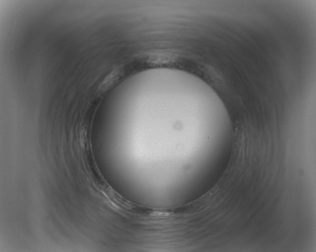 X0000081320227200701111037
