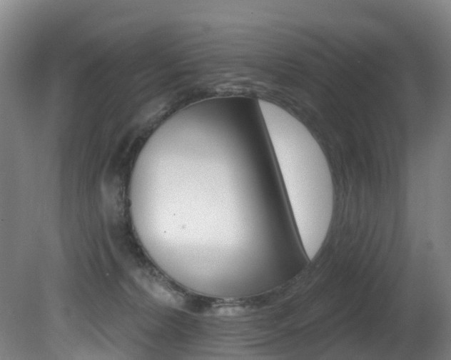 X0000081320228200701111037