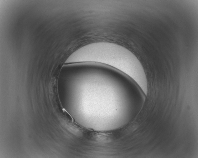 X0000081320229200701111037