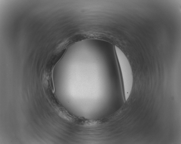 X0000081320235200701111037