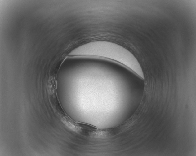 X0000081320237200701111037
