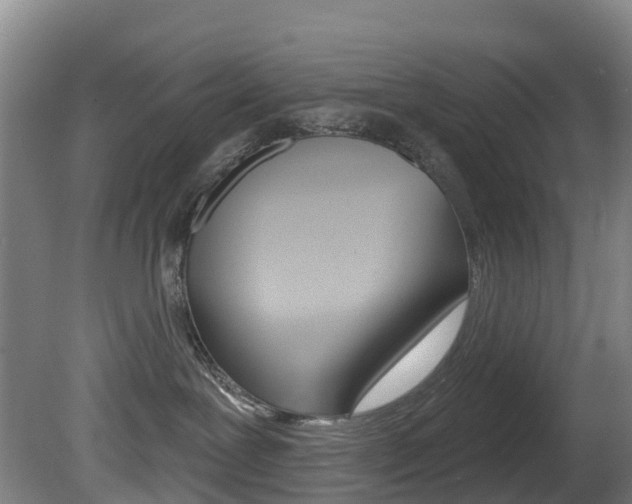 X0000081320239200701111037