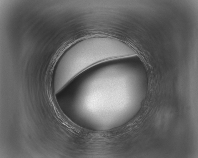 X0000081320241200701111036