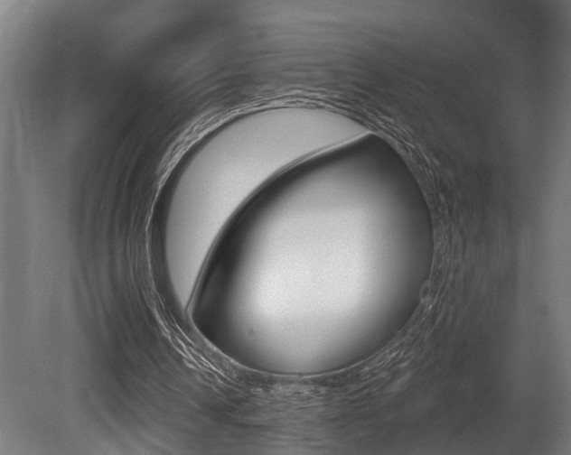 X0000081320242200701111036