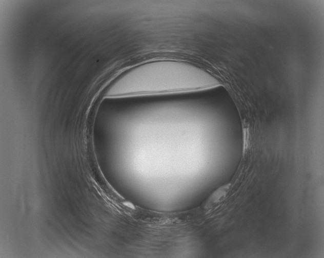 X0000081320243200701111036